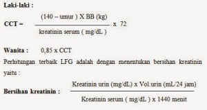 Laporan Pendahuluan Chronic Kidney Disease (CKD) Gagal Ginjal Kronik